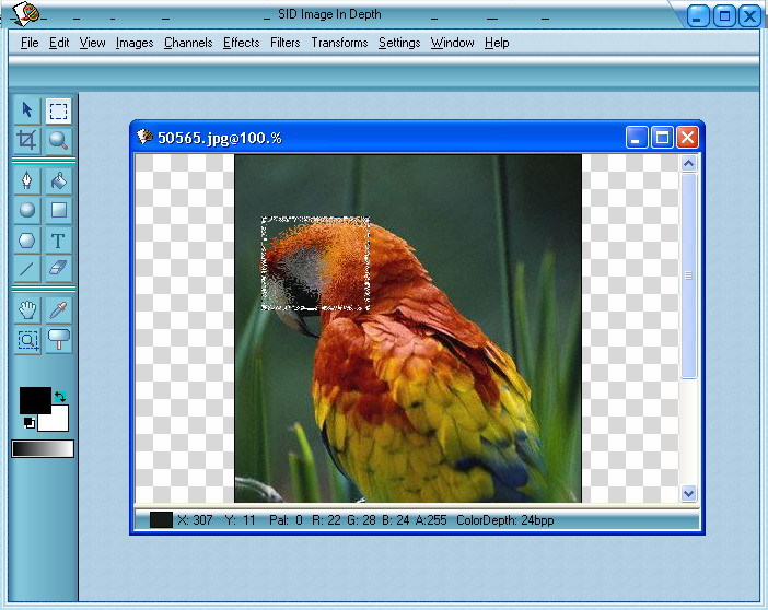 SID Image InDepth Screenshot